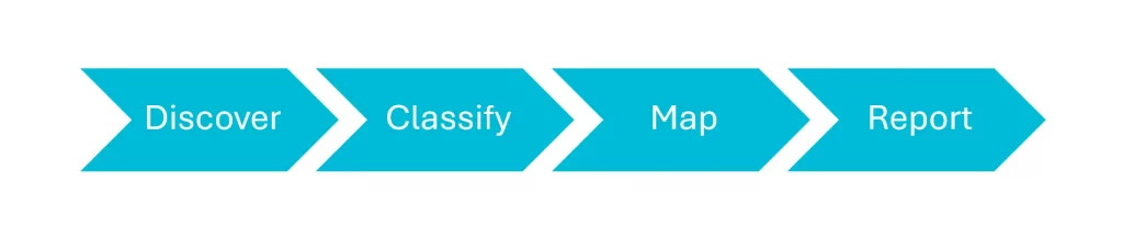 asset discovery process flow